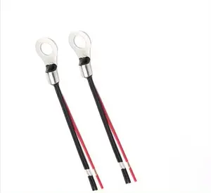 RPD Sensor 10K 3435 Thermistor NTC Temperatursensor Temperaturregler für Solarsystem