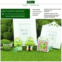 Poupée en herbe DIY, pots de plantes uniques en forme de grenouille, artisanat végétal créatif, cadeau, micro-pot en céramique, logo imprimé grenouille en couple