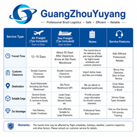 Entreprise de transport de fret professionnel Chine-Brésil, agent maritime DDP, livraison directe, conteneur maritime sec 40/45HQ