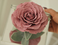 2024 INS Offre Spéciale rose fraîche naturelle fleur préservée dans un dôme en verre en vrac rose préservée pour toujours