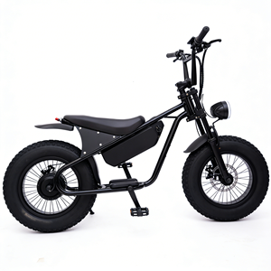 Vélo électrique à bas prix très vendu en 2025, moto électrique de motocross 1000W haute puissance pour les courses de motocross et les loisirs tout-terrain - Product Image 1