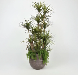 Tomate artificielle en pot et Dragon Pot de sang plante <span class=keywords><strong>pour</strong></span> intérieur extérieur décor à la maison centre commercial supermarché paysage arbre - Product Image 4