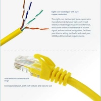 Mendukung kustomisasi kabel komunikasi jaringan Plug UTP Cat5e Cat6 Cat6a RJ45 kualitas tinggi