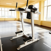 Máquina de Elevación de Rodillas Vertical, Equipo de Gimnasio Comercial de Alta Resistencia, Entrenamiento de Fuerza para el Core y la Parte Superior del Cuerpo
