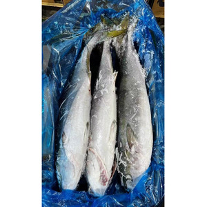 Pescado Congelado Taiseng, Cola Amarilla Entera, Tamaño 500-800g/unidad, para Supermercado - Product Image 5