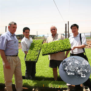 Fertilizantes Personalizables <span class=keywords><strong>de</strong></span> Nitrógeno, Fósforo y Potasio <span class=keywords><strong>de</strong></span> Larga Duración para <span class=keywords><strong>Olivos</strong></span> y Otras Plántulas, Humectantes para Suelo y Agua - Product Image 4