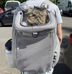 Free Sample Premium <b>Cat</b> <b>Backpacks</b> for Carrying <b>Cats</b> Travel, Hiking Use - Grey Mesh <b>Backpacks</b> for Small, Medium, Large <b>Cats</b> up - Product Image 6