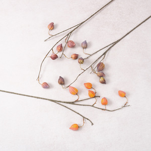 Fleurs artificielles de physalis à 6 têtes de style pastoral, plantes artificielles à tige unique, arrangements floraux, ornements décoratifs pour hôtel - Product Image 4