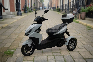 Tricycle Mobylette Électrique Fox-3 à 3 Roues 1000W 25km/h – Vente Directe Usine – Pour Adultes et Personnes Âgées - Product Image 3