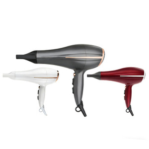 Secador de Pelo Profesional para Hotel, Motor AC Silencioso, Uso Comercial, Diseño Ergonómico, Plegable, con Certificación ROHS - Product Image 2