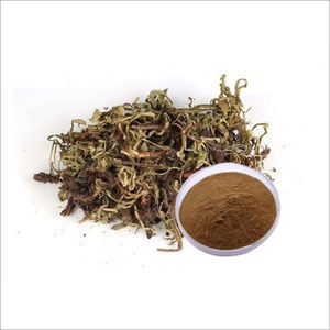 Extracto de Jatamansi Natural en Polvo de Alta Calidad con Aroma Limpio para Fabricantes de Té, Creadores de Mezclas Herbales y Bebidas - Product Image 3