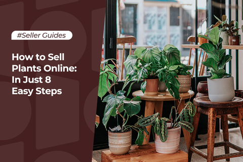 How to Sell Plants Online: In Just 8 Easy Steps