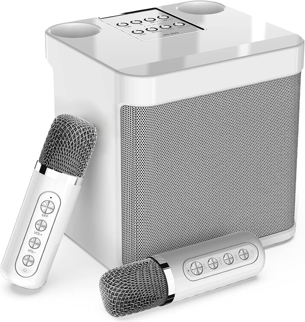 Portable Bluetooth Karaoke Machine 2 Wireless Microphones PA Speaker System for Indoor Outdoor Family Party Singing for Adults