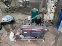 Machine d'emballage sous vide pour œufs avec station de pesage intégrée pour œufs de caille frais, machine d'emballage en sachets préformés pour grandes productions