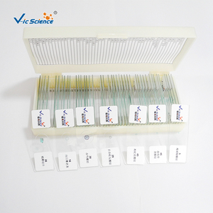 Nhà Máy Cung Cấp 10Pcs Thiết Lập Sinh Học Giáo Dục Kính Hiển Vi Kính Slide Cho Giảng Dạy Trường Học Bao hàm Thực vật Học Y Tế Khoa Học - Product Image 3