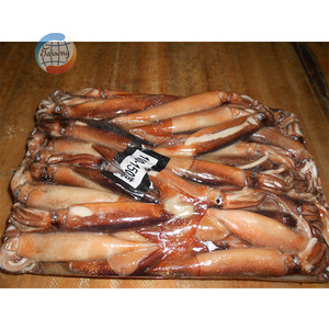 حبار طازج مجمد ذو كتلة عالية الجودة - Product Image 4