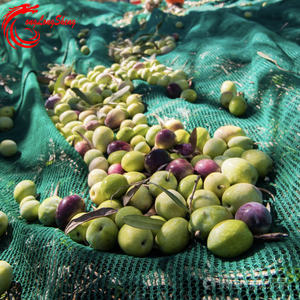 परिपक्व मौसम भारी शुल्क आंसू प्रतिरोधी जैतून का कटाई नेट - Product Image 3