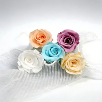 Hochwertige Handgefertigte Konservierte Rosen 2-3cm B-Klasse Blütenköpfe für Hochzeiten Valentinstag Weihnachten Blumenarrangements Tischdekoration