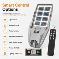Venta al por Mayor de Fábrica: Farola Solar de 500W, Doble Cara, Monocristalina, 199 LED, Brillo Ajustable, para Jardín, Villa y Carretera
