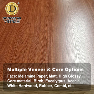Contrachapado Combinado de Abedul con Núcleo de Madera Dura Blanca, Resistente al Agua/Humedad, con Acabado de Melamina de Primera Calidad E0, Origen Vietnam - Product Image 1
