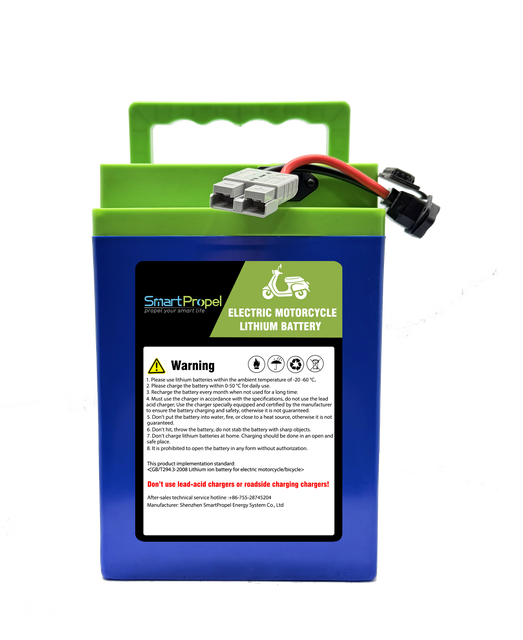 Motorcycle Escooter 48V 20Ah Lifepo4 Lithium Ion Batteries Ebike Electric Bicycle Battery