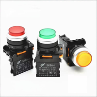 SKB0-PL10T/SKB0-PL10TD 22mm 12V 24V 110V 127V 220V 380V Bouton poussoir à maintien convexe à haute capacité, éclairé en option