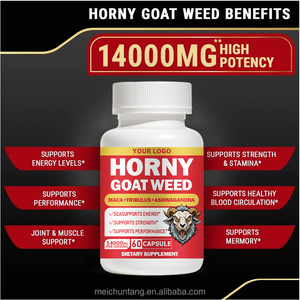 Complément de vitalité pour hommes adultes : Tongkat Ali, Racine de Maca, Herbe cornée de chèvre, Panax Ginseng, Ashwagandha, Tribulus Terrestris - Product Image 5