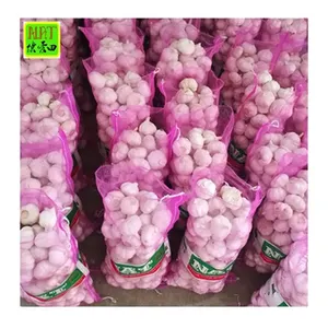 Garlic Hot Sale 5-6 Cm China Fresh Normal White/red Garlic For Wholesale With Global Gap 20 Kg/Carton Non-peeled Organic Purple Garlic