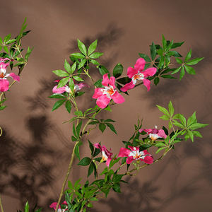 Plantes artificielles en plastique écologique, <span class=keywords><strong>jasmin</strong></span> pleureur, couleur verte, en <span class=keywords><strong>pot</strong></span>, grande plante, décoration d'intérieur, Noël, remise de diplôme - Product Image 3