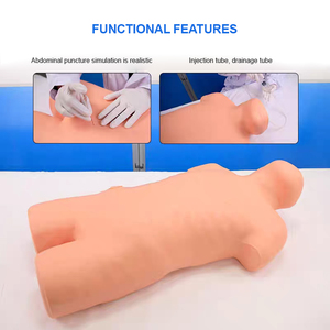 Mannequin d'entraînement ADA pour ponction thoracique et abdominale, modèle anatomique de sciences médicales, mobilité abdominale, Turbid - Product Image 2