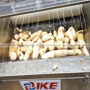 Machine <span class=keywords><strong>de</strong></span> nettoyage <span class=keywords><strong>de</strong></span> fruits et d'eau pour légumes racines Taro Papaye Laveuse <span class=keywords><strong>de</strong></span> patates douces avec pompe à moteur Nettoyant <span class=keywords><strong>de</strong></span> matières premières - Product Image 2