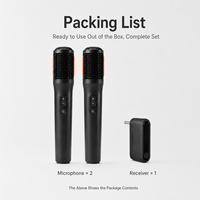 Ensemble de deux microphones sans fil portables, chargement USB-C, longue portée, suppression du bruit, en plastique, pour karaoké à domicile, soirées, scène, KTV