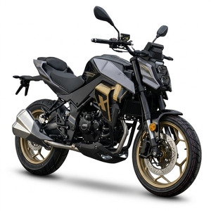 NEWBOT <span class=keywords><strong>Moto</strong></span> <span class=keywords><strong>de</strong></span> <span class=keywords><strong>course</strong></span> puissante 300cc pour adultes, 18,5 kW, haute performance, 125 km/h, FE-300 Factory - Product Image 2