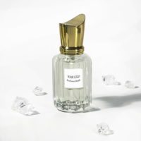 Flacon de parfum en verre de luxe pour la maison, emballage de boîte de parfum, flacon d'huile essentielle avec pompe pulvérisatrice, flacon de parfum 30ml 50ml 100ml