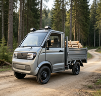 Pick-up et fourgon électrique à 4 roues, nouvelle énergie, moteur haute puissance, autonomie de 100 km, robuste pour le transport agricole