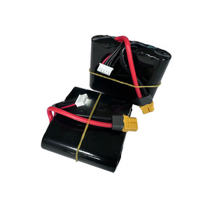 Paquete de baterías de litio recargables de 14.8V 21700 18650 4S1P 6S1P 5000mah 1000mah, personalizables - Product Image 4