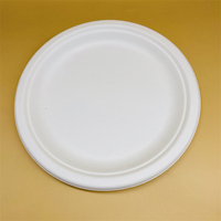 Assiette en papier jetable Sandwich Bagasse Pâte à papier Assiette et vaisselle Assiette ronde en papier pour gâteau