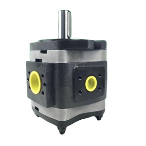 Cho máy bơm thủy lực IPV/-125/470 IPV6-125 101 IPV6-80 IPV3-10 - Product Image 1