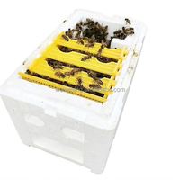 Mini ruche en mousse de polystyrène, kit de démarrage d'apiculture en plastique, boîte d'accouplement pour abeilles
