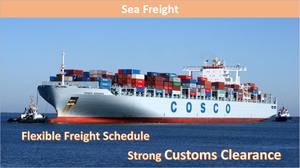 Agente di Spedizione Porta a Porta Cina-USA, Trasporto Marittimo, Corriere LCL DDP, Compagnie di Spedizioni Leader, Importatore USA - Product Image 2