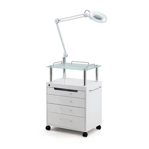 Chariot cosmétique de beauté chariot médical lampe de lit de beauté avec lumière froide LED UV Ozone désinfection armoire lampe de tatouage