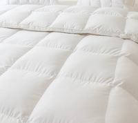 Couette de remplissage en plumes de canard d'oie blanche quatre saisons Premium OEM & ODM couette en duvet hôtel cinq étoiles noyau de plumes de canard