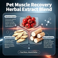 Vente en gros de produits pour chiens : BCAA, Glucosamine, L-Carnitine pour l'amélioration musculaire, la récupération, la nutrition, la performance des chiens de course et de travail K9, OEM