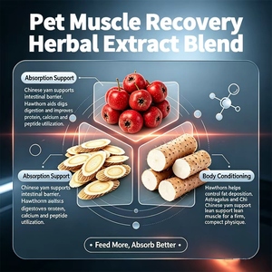 Suplemento Mayorista para <span class=keywords><strong>Perros</strong></span>: BCAA, Glucosamina, L-Carnitina para Recuperación Muscular, Nutrición para Rendimiento en Carreras y Trabajo K9, OEM - Product Image 2