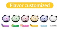 Litière pour chat en gel de silice cristallin durable, vente en gros d'usine, faible poussière, contrôle des odeurs, absorbante, 1-8 mm, 1 kg