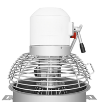 Groothandelsprijs Directe Leverancier Hefbare Kantelkop Borstelloze 15L RVS Brooddeegkneedmachine Spirale Mixer