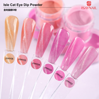 Poudre à Tremper Effet Scintillant Estival pour Ongles – Couleurs Bonbon Longue Durée, Poudre Magnétique Effet Œil de Chat