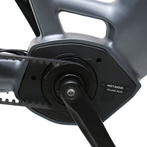 Vélo électrique hollandais de ville TXED 28 pouces 36V 20Ah avec batterie au lithium cachée, moteur central 250W, transmission par courroie <span class=keywords><strong>NEXUS</strong></span> <span class=keywords><strong>8</strong></span> vitesses - Product Image 4