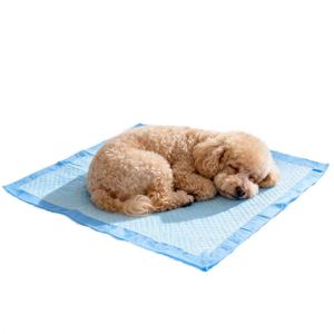 Tapis d'hygiène pour animaux de compagnie ultra-absorbant et anti-fuite, autocollant adhésif, jetable, pour l'apprentissage de la propreté des chiots et des chats - Product Image 1