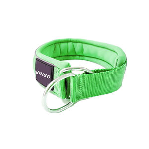 Hondenriem met neopreen voering in een aangepaste kleur - Product Image 5